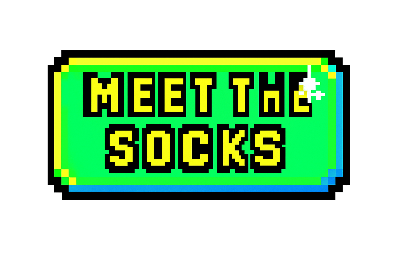 MEET THE SOCKS