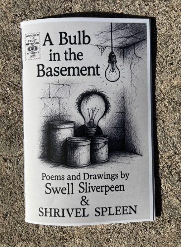 A Bulb in the Basement zine cover